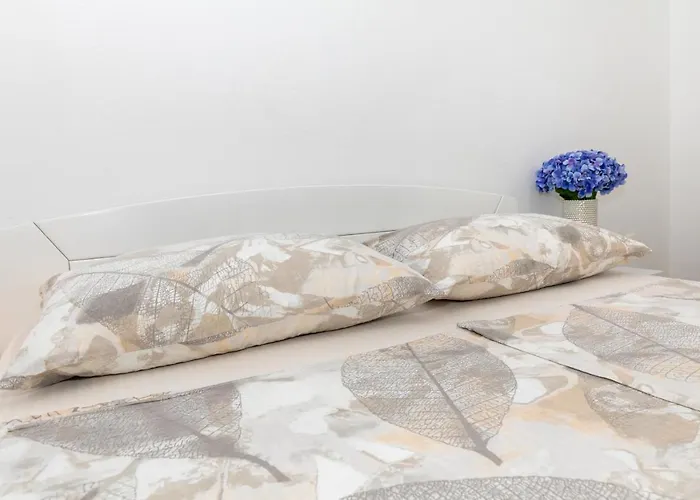 Sevo * 巴什卡沃达